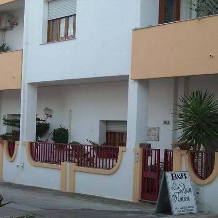 B&B La Rosa Antica Castro  Екстер'єр фото